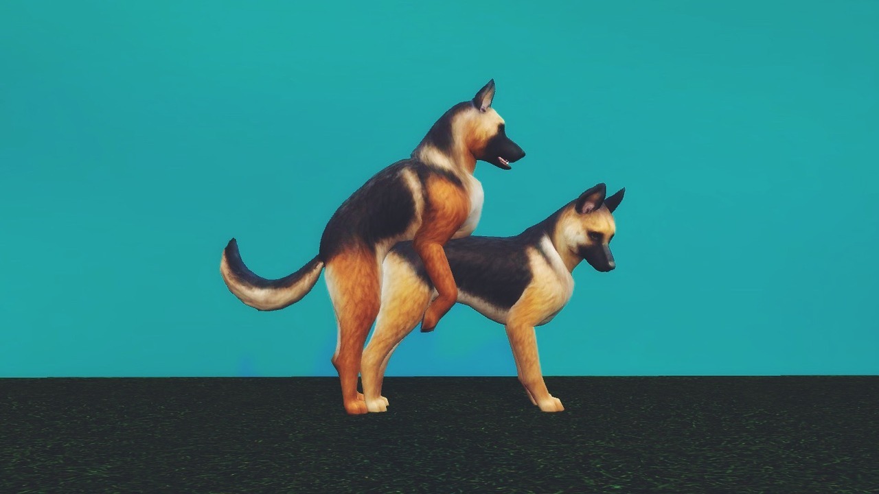 sims 4 cats and dogs mating sims 4 cats and dogs mating