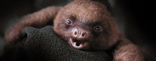 tumblr_mgt9sm5YGf1rkfhnuo1_500.gif