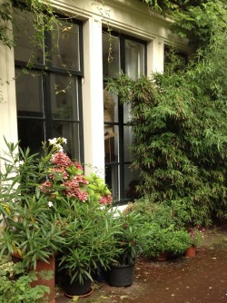 Mercurieux:  Green Colors In The City  Amazing