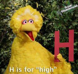 cocaineisforlovers:  H is for “high&quot;