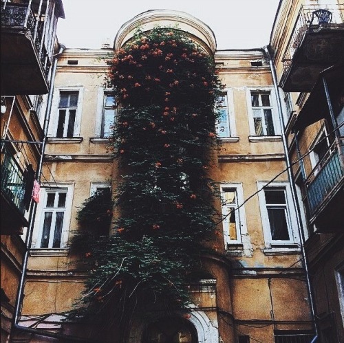 magic-of-eternity:Odessa, UkraineSource: vk.com