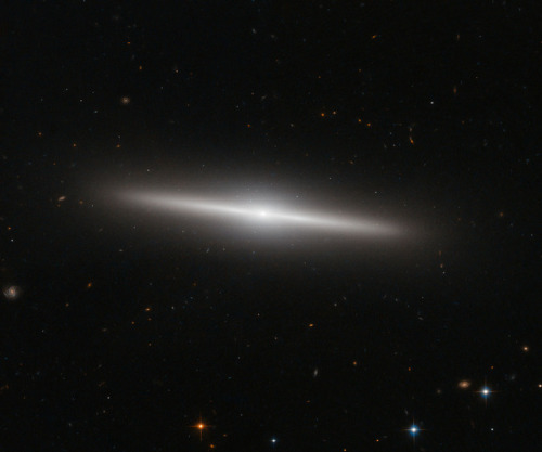 Hubble Sees The Beautiful Side Of Galaxy IC 335: This New NASA/ESA Hubble Space Telescope Image Shows