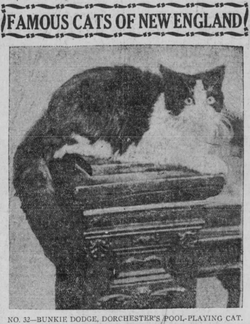 yesterdaysprint:Boston Post, Massachusetts, January 9, 1921