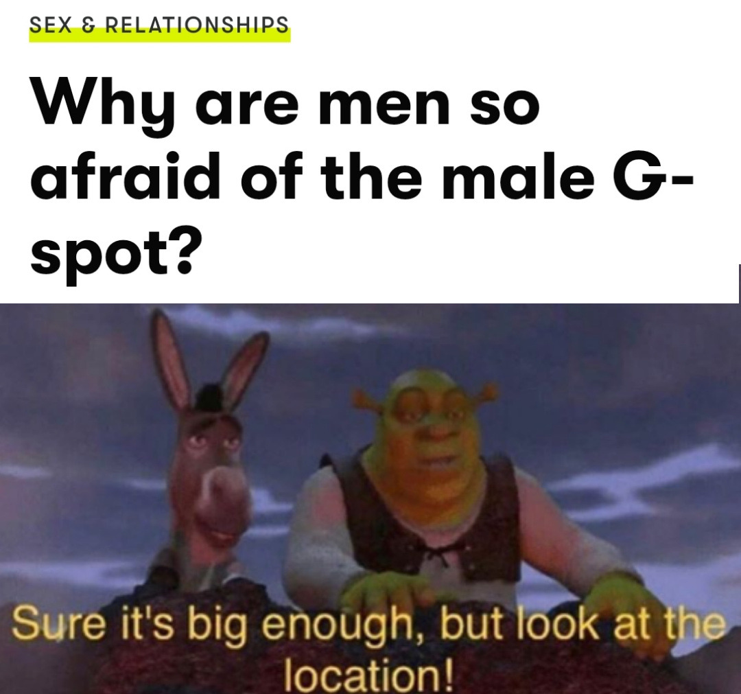 Omg Hot Memes Stay Away From My Swamp Omg Hot Memes Stay Away From My Swamp