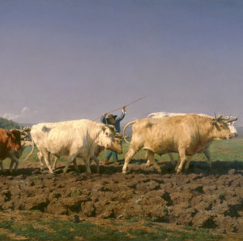 Ploughing in the Nivernais (1849) byRosa Bonheur   This painting depicts two teams of oxen ploughing