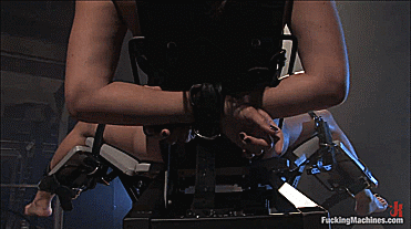 bridle-and-bit:  Pet regularly strapped on a fucking machine for training.