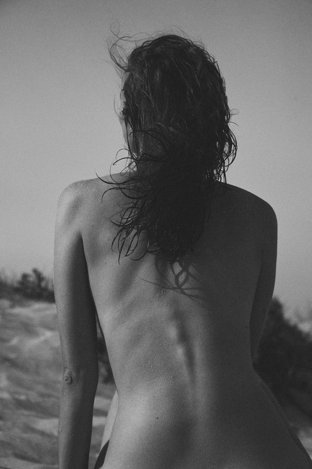 Sammy | Australia