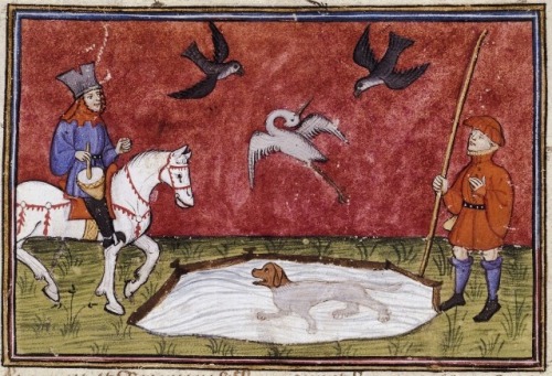 nihtegale:Training your falcons as the dog gets in position, 1390-1395