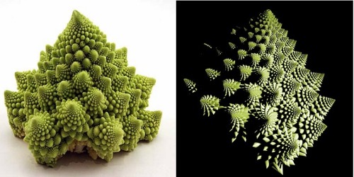 The Romanesco Broccoli Is A Master Of Fractal Vegetable Design. The Italian Relative Of The Cauliflower,