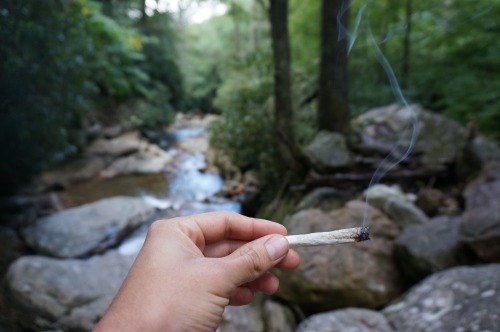 XXX weednymphos:skinny dip falls II | weednymphos photo