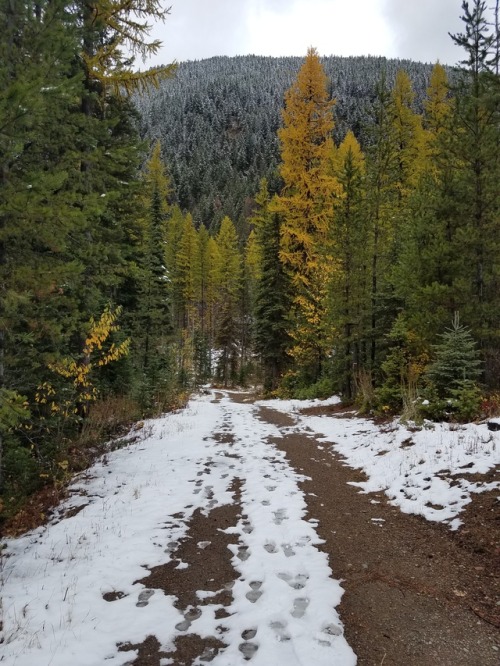 hufflepuffrave:we went up to glacier this weekend and it was cold and cloudy and beautiful