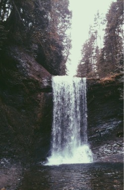 jamaican-me-happy:  Ammonite Falls, BC