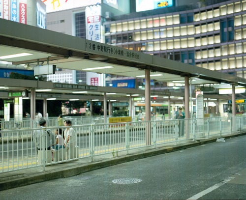 ggreentea: untitled by zdm_elise on Flickr.
