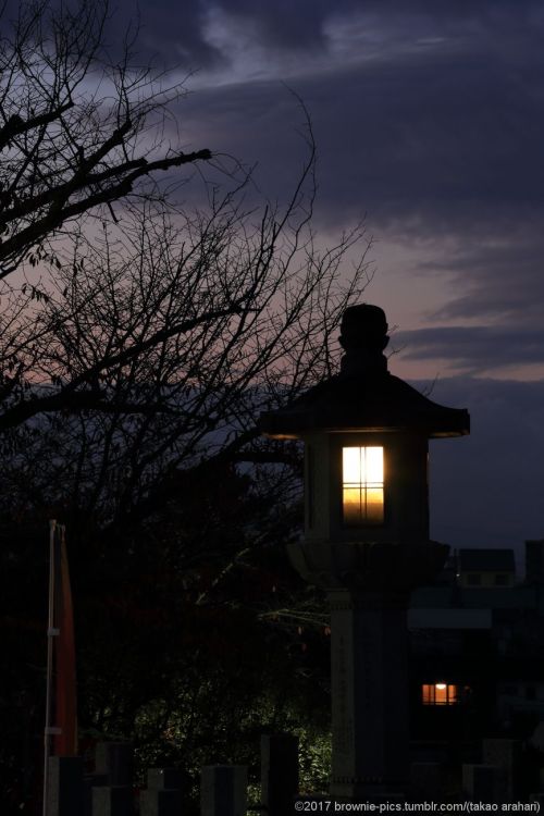 ‘21.11.23 興福寺にて夜明け前の興福寺。6時になると南円堂横の鐘が突かれます。静寂を破るその音を合図に、暗い空が少しずつ明るみを帯びてくるようでした。