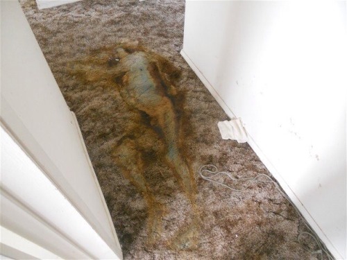 thesociopathicguy:  Pronounced decomposition fluid left on the carpet after the deceased was removed 