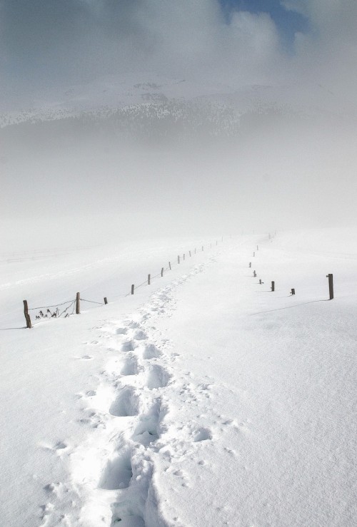 0rient-express:   La via | by Renato Vettoretti.          