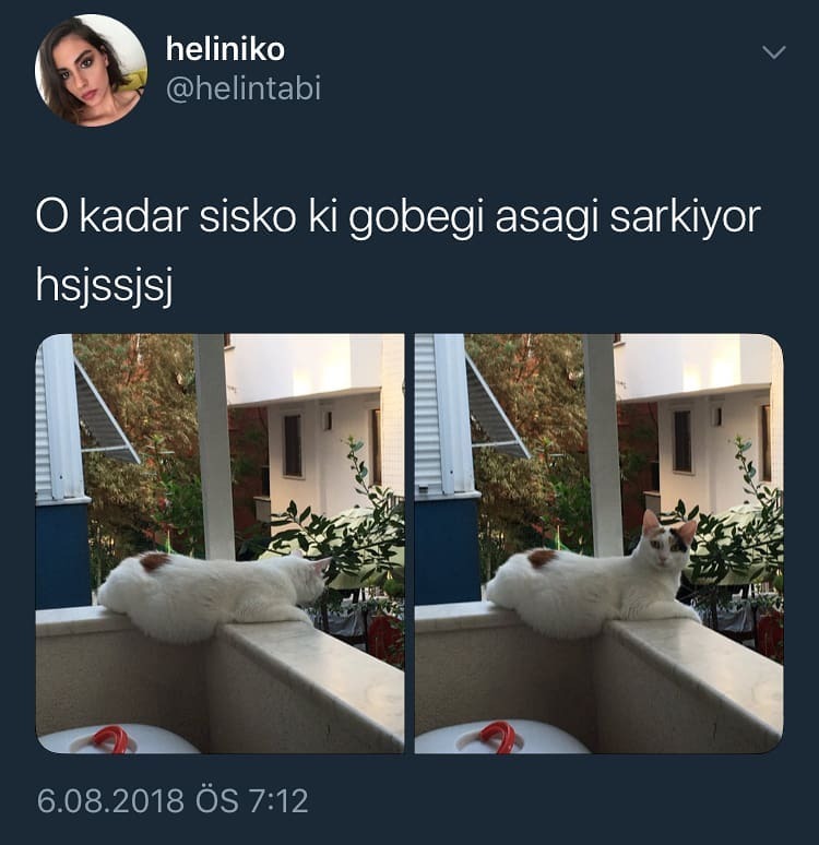 O kadar şişman ki göbeği...