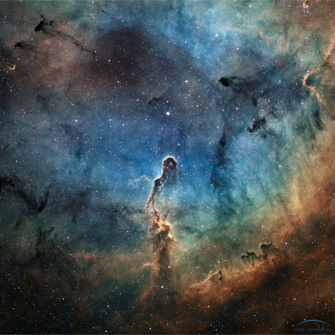 The Elephant&rsquo;s Trunk in IC 1396 #nasa #apod #elephantstrunknebula #nebula