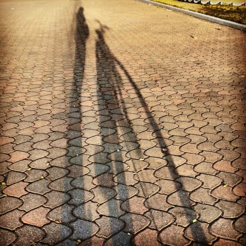jeszicazambrano:  Una tarde en bicicleta