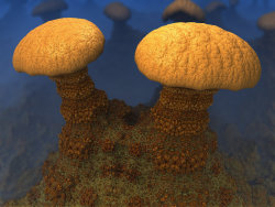 coffeenuts:  Toadstools by *AureliusCat 