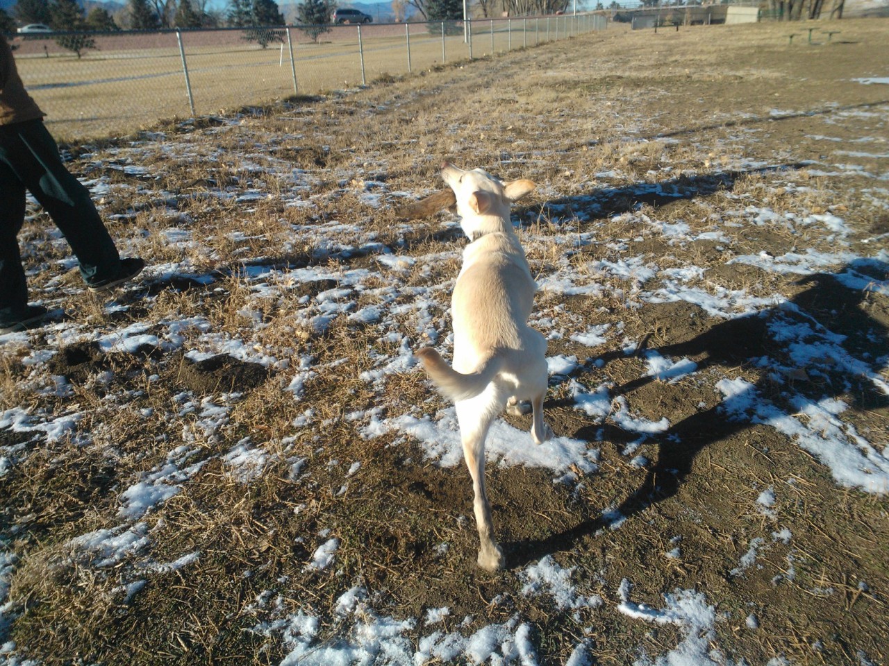 Juvia was happy as a clam yesterday with that big stick lol