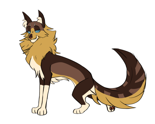 Sophiepaw Tumblr Blog With Posts Tumbral Com - tumbral com roblox warriors forest territory herb spots Sophiepaw Tumblr Blog With Posts Tumbral Com - roblox warriors forest territory herb spots