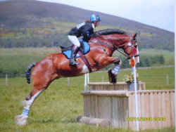 just-gallop-it-off:  the-tailored-sportsman:  Clydesdale stallion Baremuir Superior proves that it’s not just the Thoroughbreds that shine on the cross country course.  ok that is all kinds of awesome! 