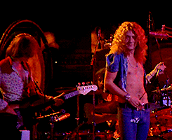 callmethehunter:  Jonesy moving back toward his favorite spot. Robert also in his favorite spot: upfront in the lime light…