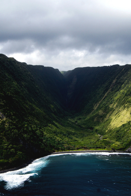 motivationsforlife:Paradise by Sarah Humer