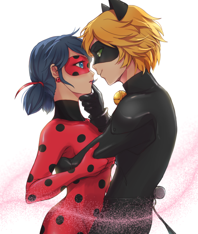 Miraculous ladybug x cat noir fanart