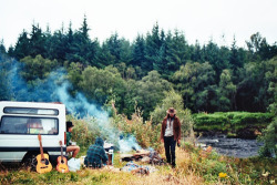 stay wild, be free