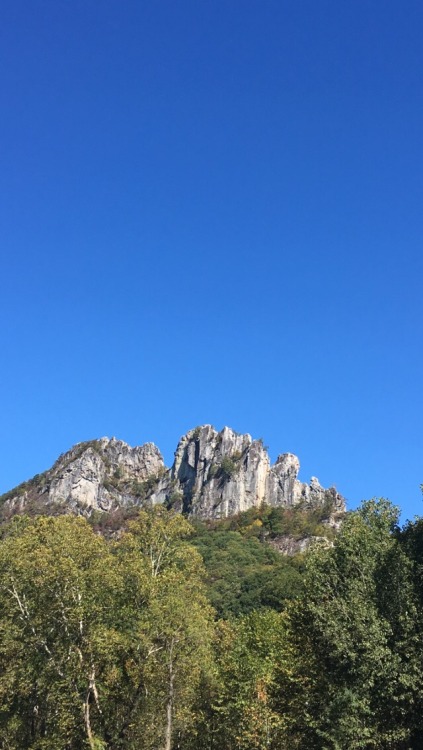 a-song-of-purple-summer:Seneca Rocks, WV. Vertical beds of Tuscarora Sandstone9.28.17