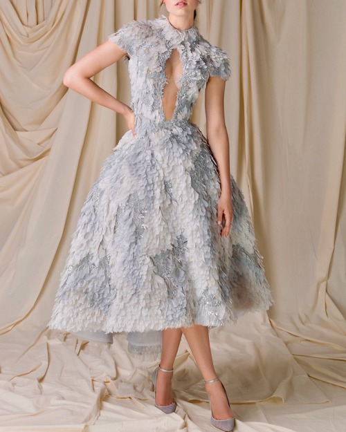 lacetulle: Paolo Sebastian | The Wild Swans