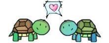 randomanimosity: Turtle Love. &lt;3. OMG so cuuuuuuuuuuuuuuuuuuuute!!