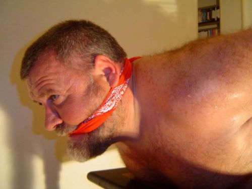 fhabhotdamncobs: maturemenboundandgagged:Adroso on the late, lamented site BearBound.  W♂♂F   &