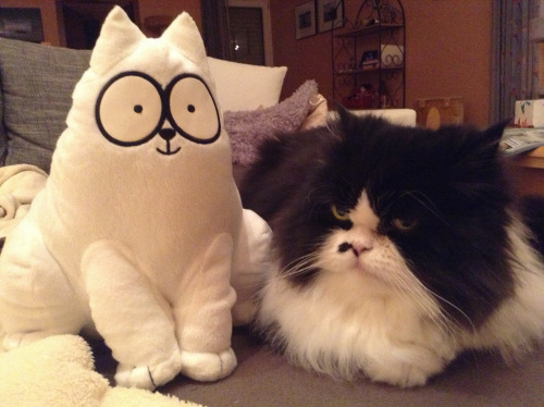 Not Impressed with Simon’s Cat (by weigand17)