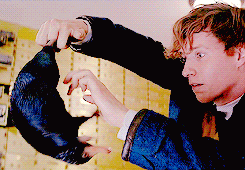 chaneloberlyn: #do you ever just want to cry because of how much Newt Scamander loves