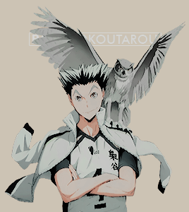 mizus:a cat, a crow &amp; owls