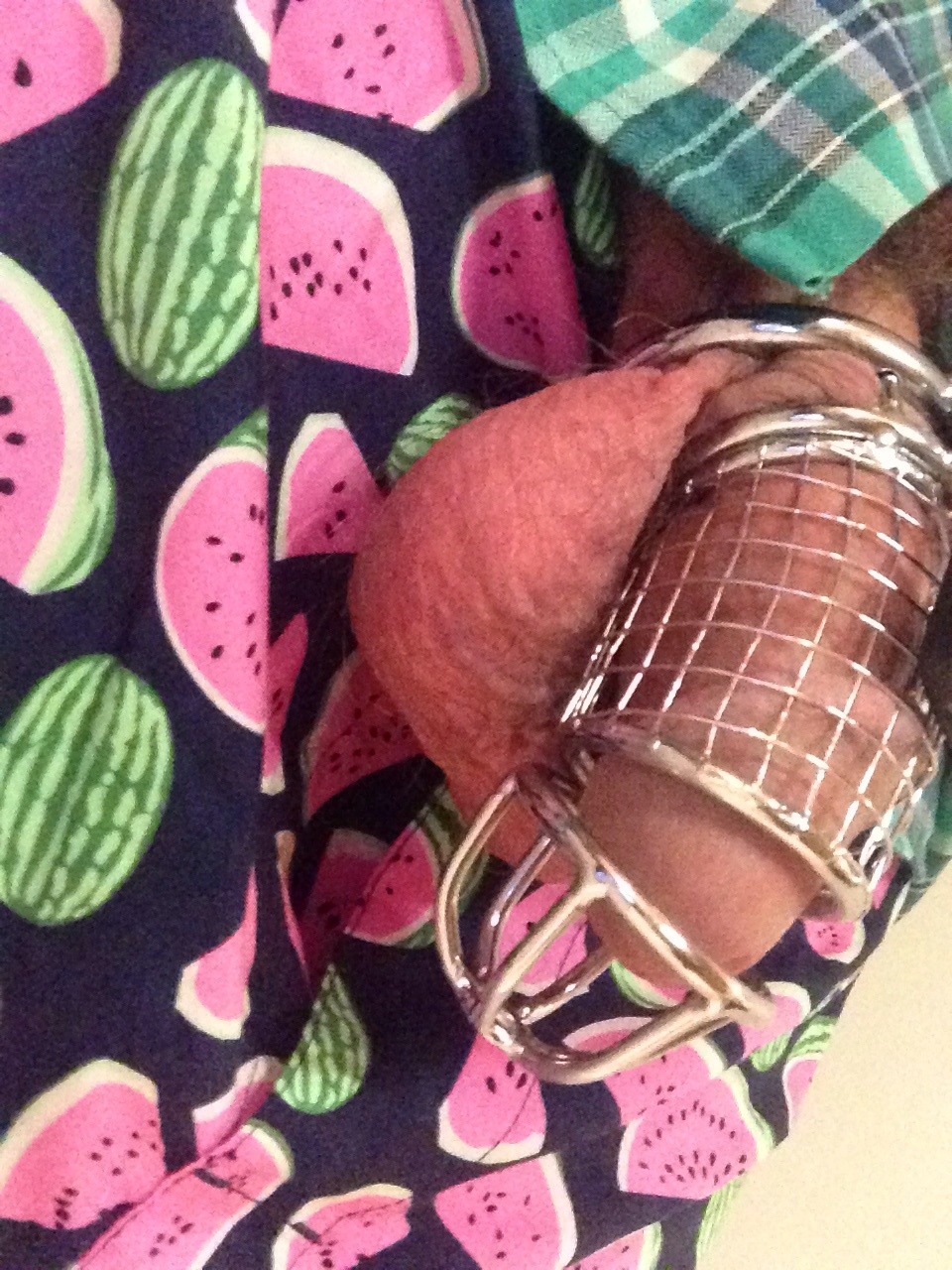 okra2day:  New cage!!!!!!! 