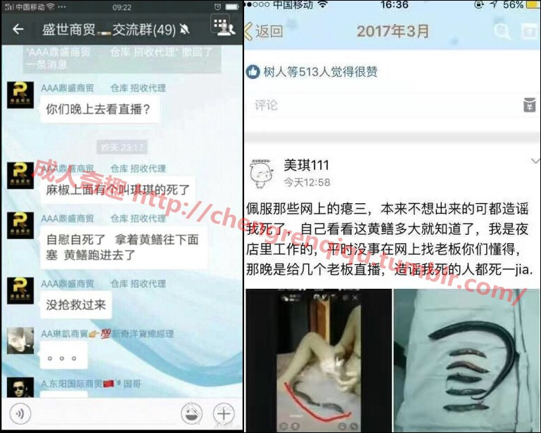 ericholanchai:  chengrenqiqu: 最近传得挺热的女主播用黄鳝自慰死了。