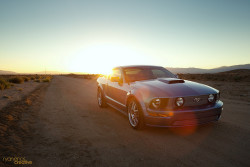 ford-mustang-generation:  IMG_0105 by Ryan