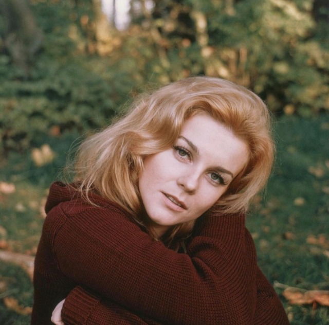 Happy Birthday to the Beautiful Ann-Margaret who is celebrating her 80th birthday! ???