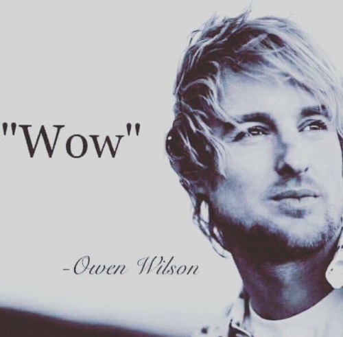 manafromheaven:Did i tell u all the story of how Owen Wilson came into my work during Pride? And I w