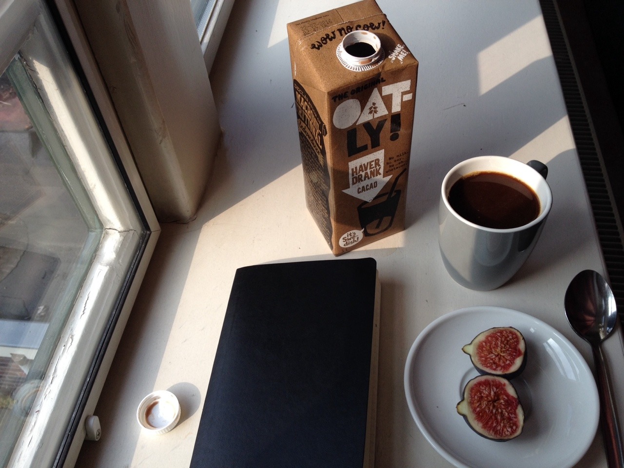 hissongiswithme:  04.10.15// i’m in love with figs. and autumn. and journaling.