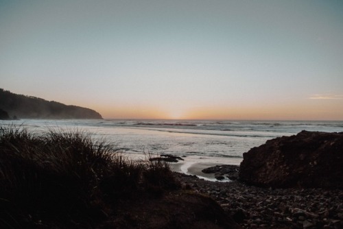 withoutroots:  february at cape lookout: 21