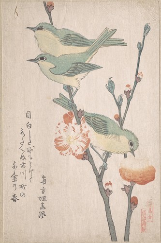 met-asian:『鳥合』　桃花に目白|Japanese White-eyes on a Branch of Peach Tree,” from the Series An Array of Bir