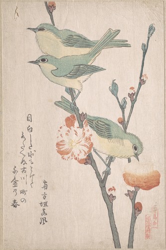 『鳥合』　桃花に目白|Japanese White-eyes on a Branch of Peach Tree,” from the Series An Array of Birds (Tori a