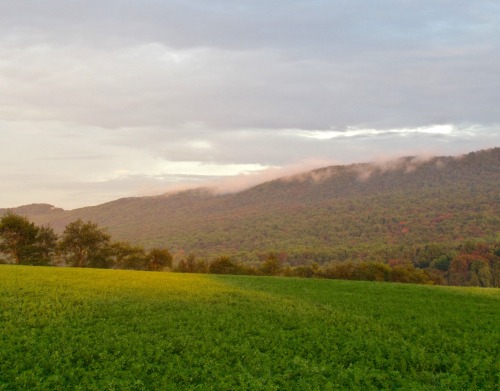 Then further out along the ridge, pink mist was pouring over the top of the mountain.