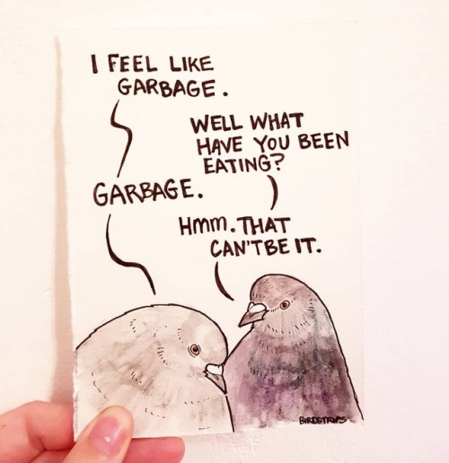 Bird no. 98. Garbage..I still feel like a trash bag but almost feeling good enough to walk around in