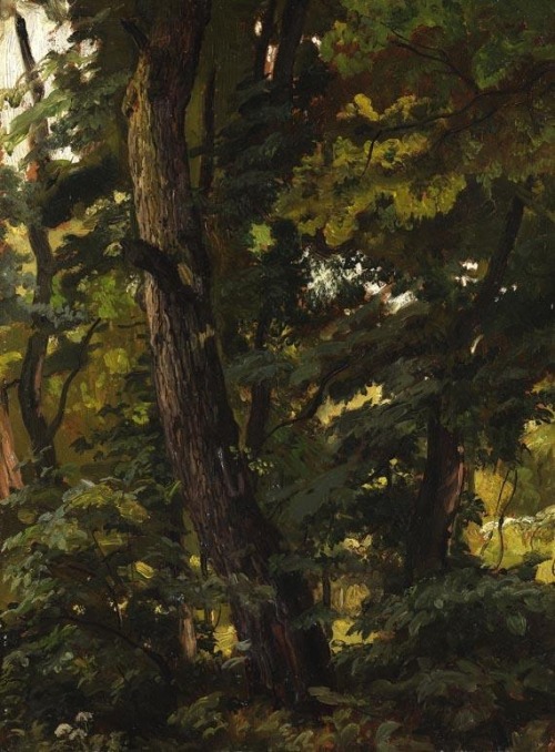 Christian Friedrich Gille  (1805 - 1899)Forest, 1845